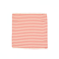 Striped Foulard