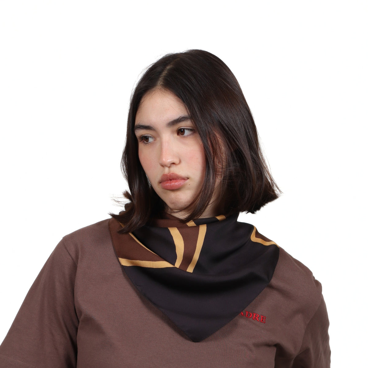 Revised Classic Foulard