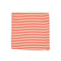 Striped Foulard